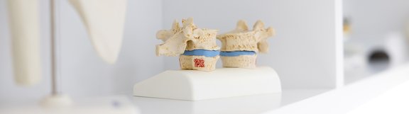 OrthoCoast-Orthopaedie_03.jpg